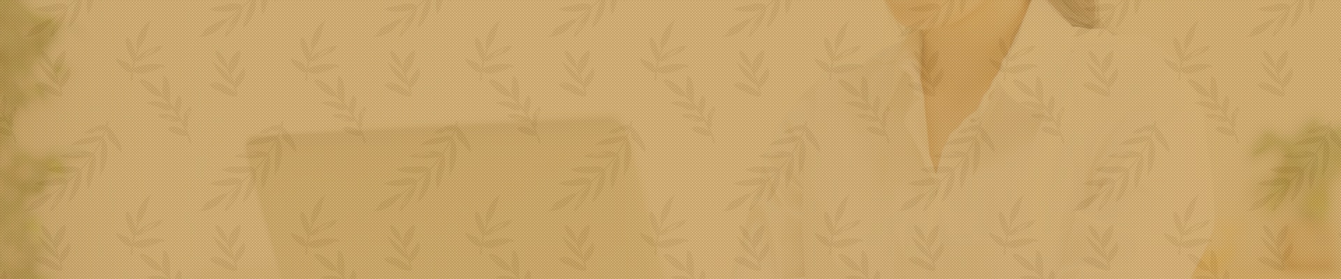 サブビジュアル
